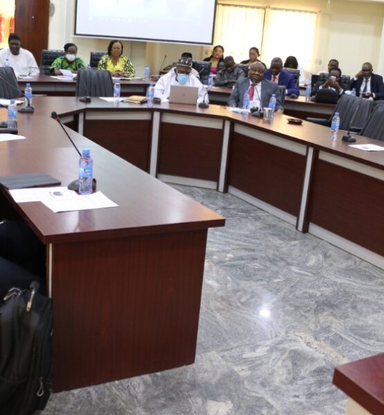 ACE IMPACT(NPPRC) Meeting, Abuja 2022